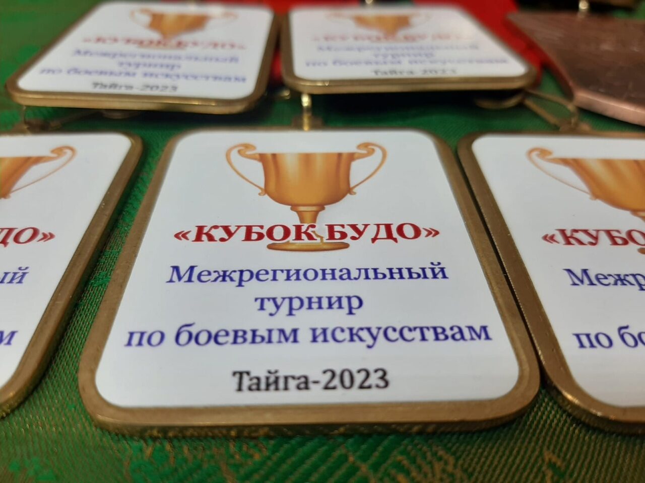 В Тайге состоялся 7-ой МЕЖРЕГИОНАЛЬНЫЙ ТУРНИР по боевым искусствам «КУБОК БУДО»