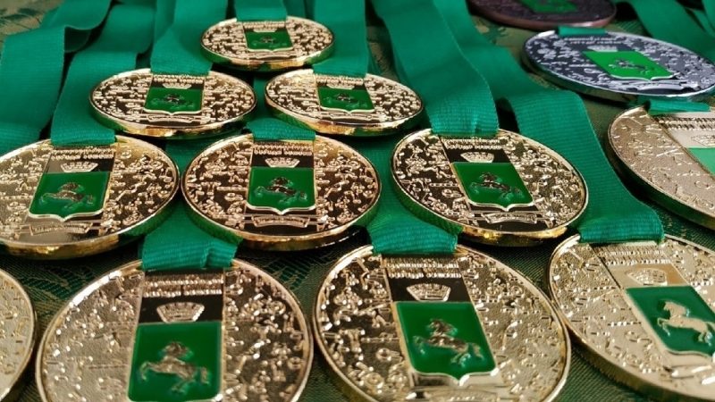 8 февраля в посёлке Кисловка состоялось Первенство Томского района по каратэ годзю-рю